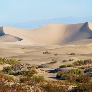 Death Valley - Sand Dunes